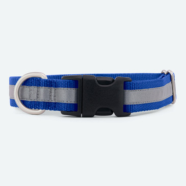 Reflective Webbing Dog Collar